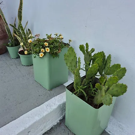 Melitini's House Álinda