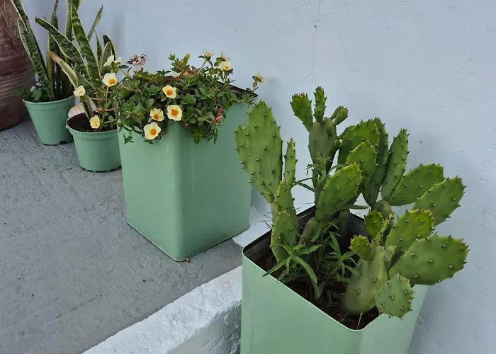 Melitini's House أليندا